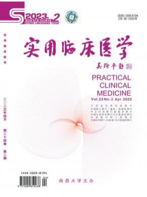 实用临床医学期刊